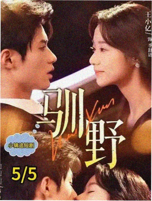 在线剧集冬日邮局